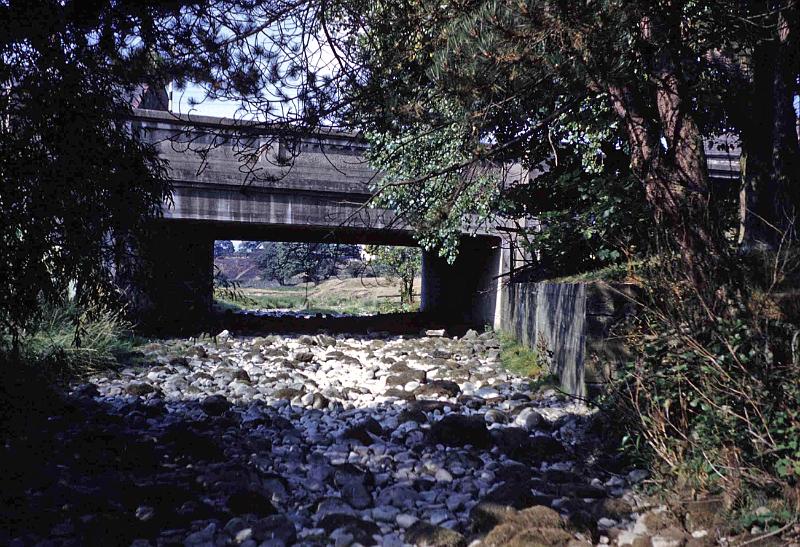 Dry Beck.jpg - Dried up Long Preston Beck at Bridge End  - possibly 1959.